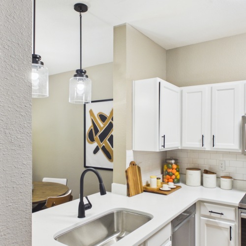 Modern styled kitchen
